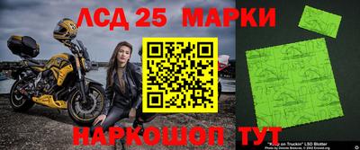 гидропоника Краснокаменск